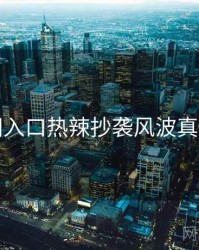 黑料网入口热辣抄袭风波真相还原