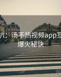 独家深扒：汤不热视频app互动技巧爆火秘诀