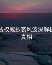 吃瓜在线权威抄袭风波深解析，揭秘真相