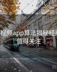 汤不热视频app算法揭秘经典案例，值得关注